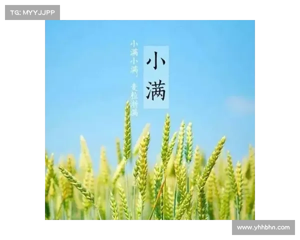 小满时节的自然馈赠:品味生命律动与丰盈之美 小满时节的自然馈赠:品味生命律动与丰盈之美
