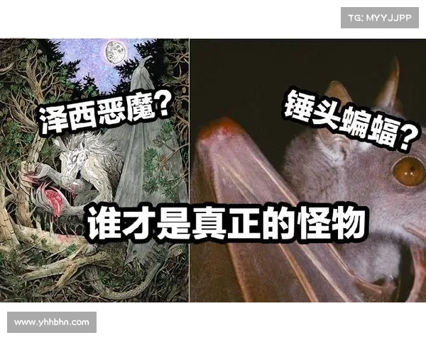 在恶魔与怪物的双重威胁中如何选择自己的生存之道 在恶魔与怪物的双重威胁中如何选择自己的生存之道